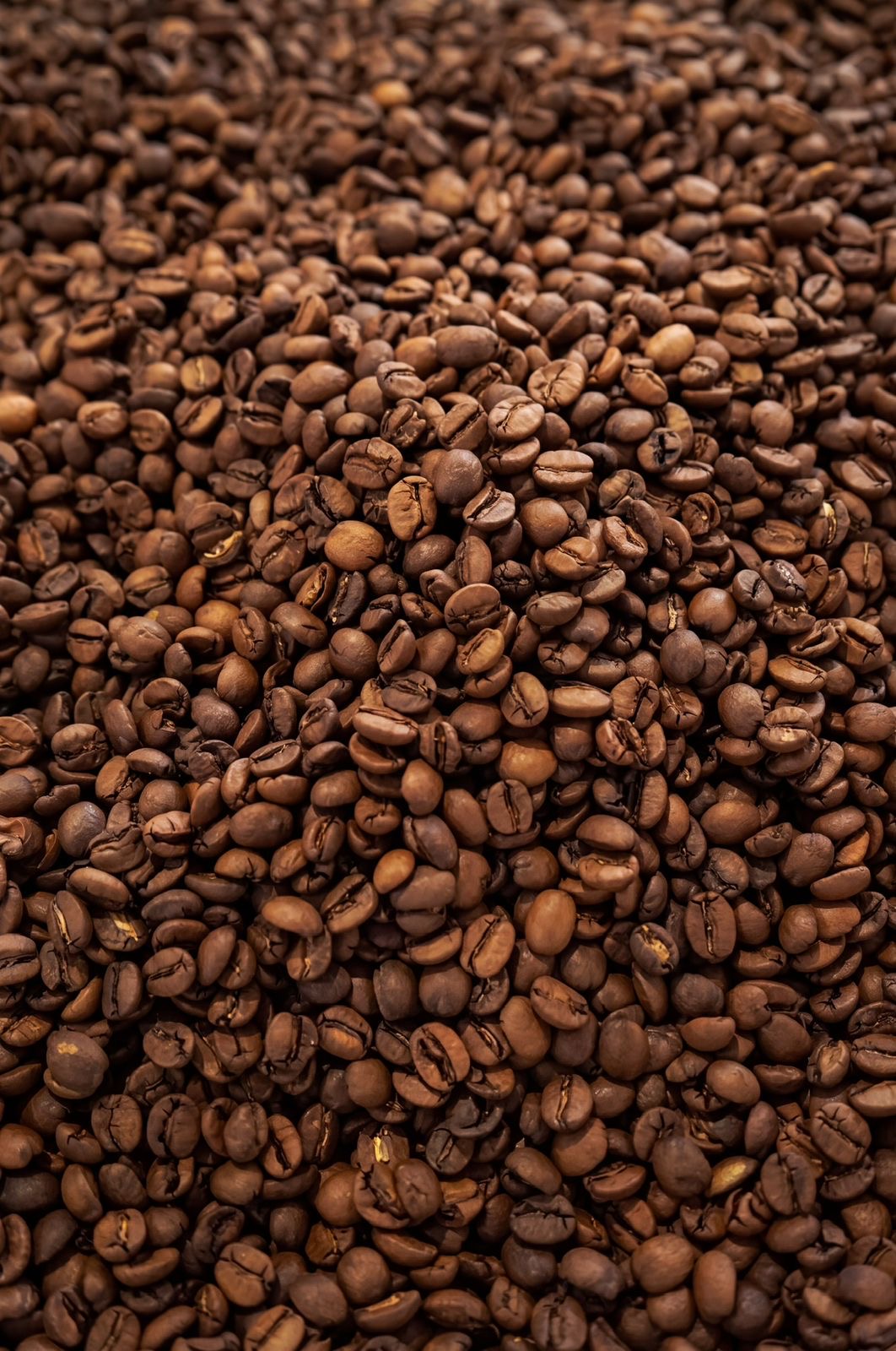 Coffee beans, ground coffee and espresso